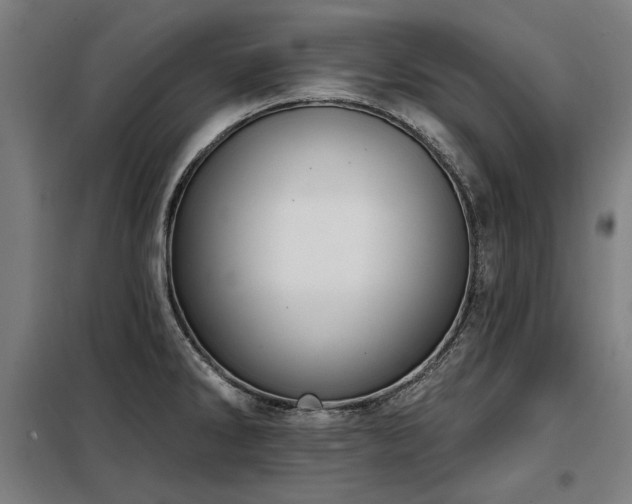 X0000098091286200804041211