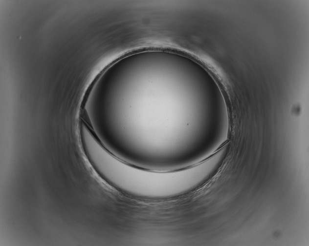 X0000098091287200804041211