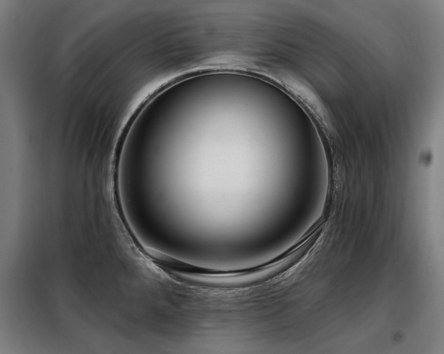X0000098091288200804041211