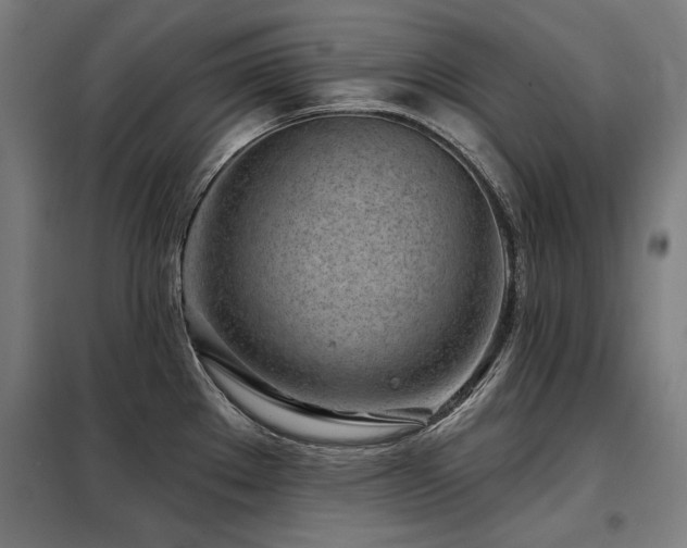 X0000098091289200804041211