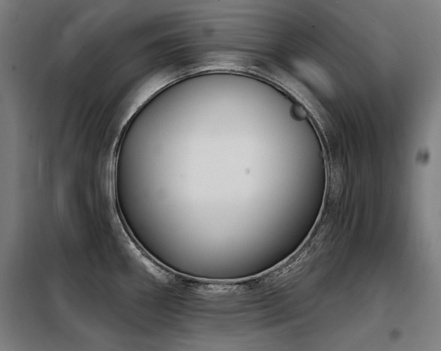 X0000098091290200804041211