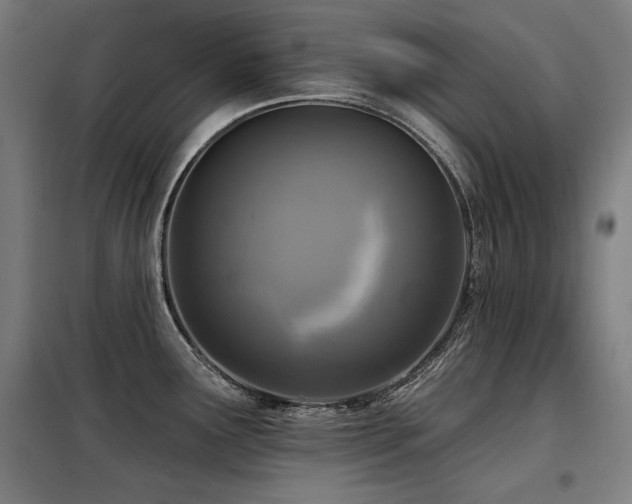 X0000098091291200804041211