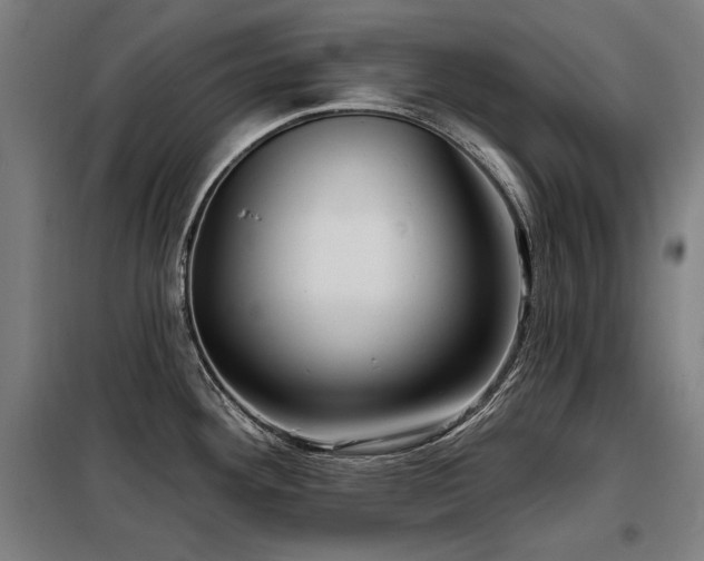 X0000098091292200804041211