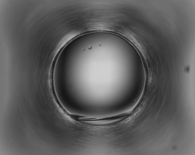 X0000098091293200804041211
