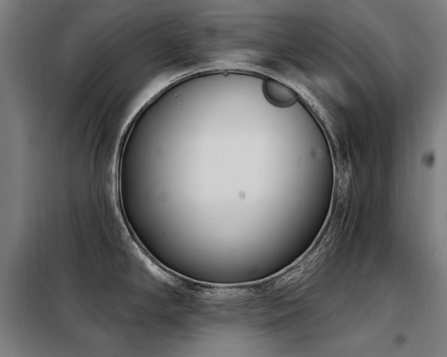 X0000098091294200804041211