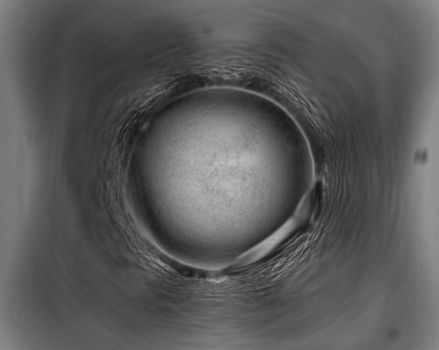 X0000098091297200804041210