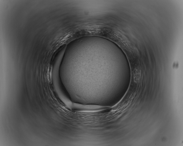 X0000098091298200804041210