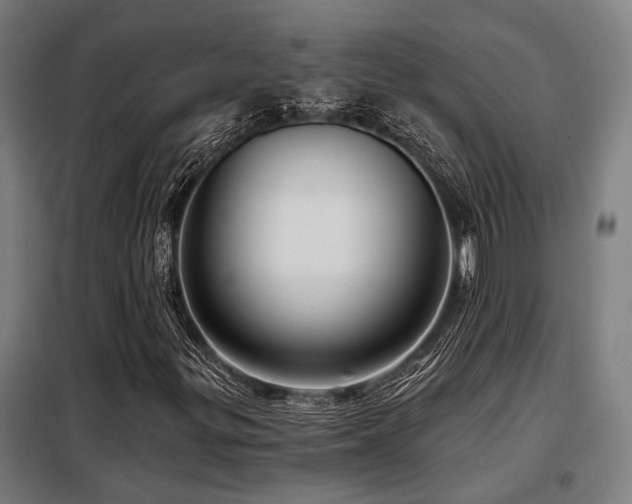 X0000098091299200804041210