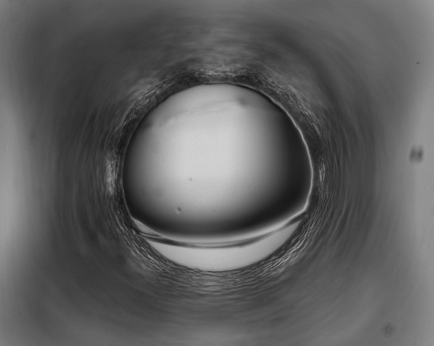 X0000098091300200804041210