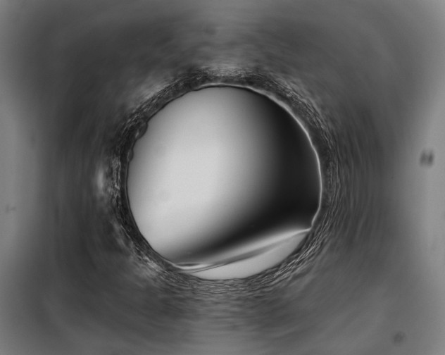 X0000098091301200804041210