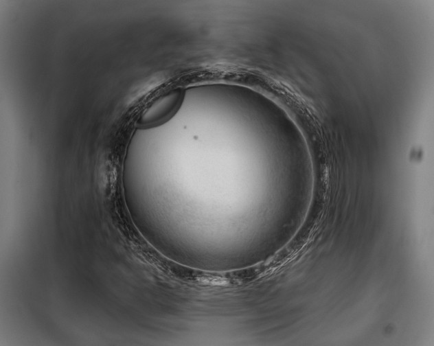 X0000098091302200804041210