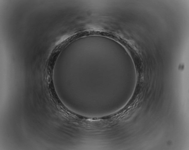 X0000098091303200804041210