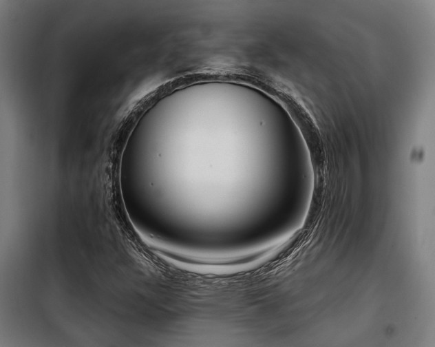 X0000098091304200804041210