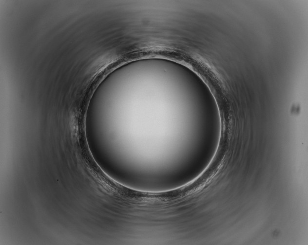 X0000098091305200804041210