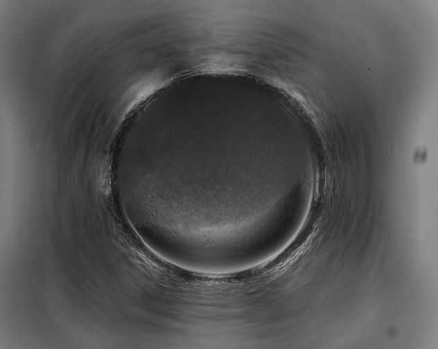 X0000098091306200804041210