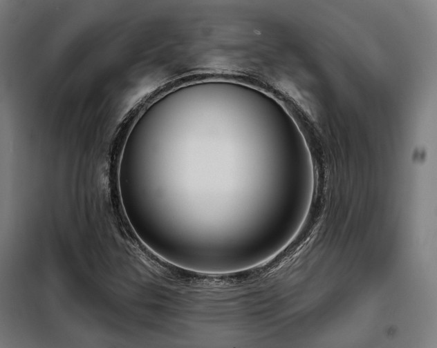 X0000098091307200804041210