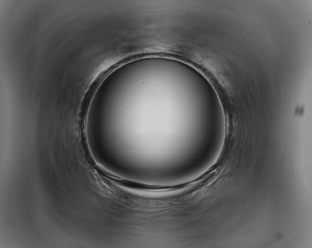 X0000098091308200804041210