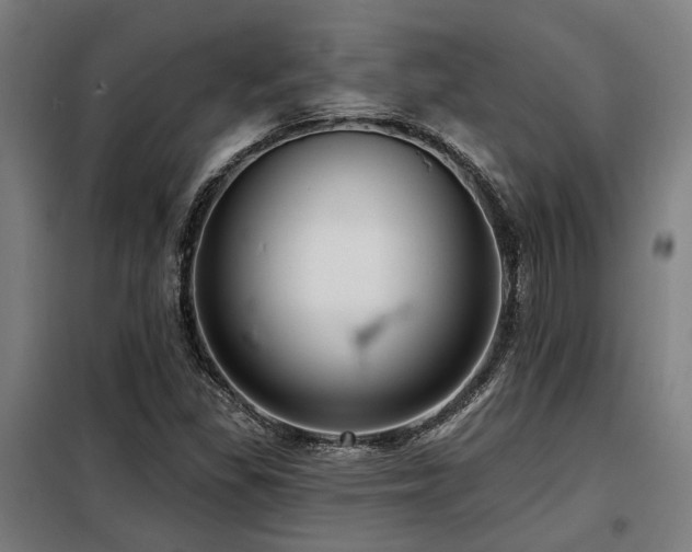 X0000098091309200804041210