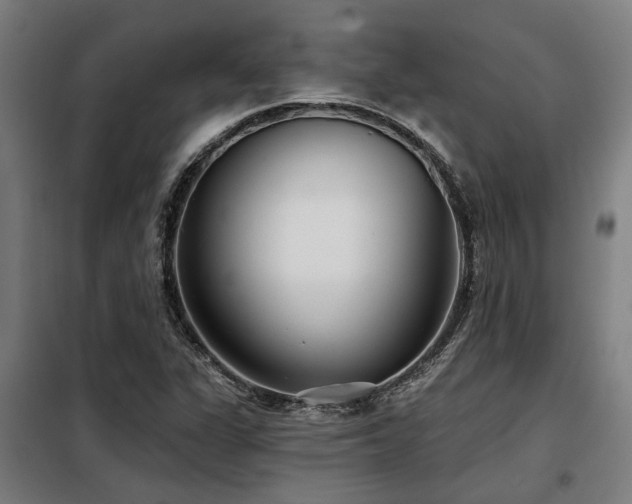 X0000098091311200804041210