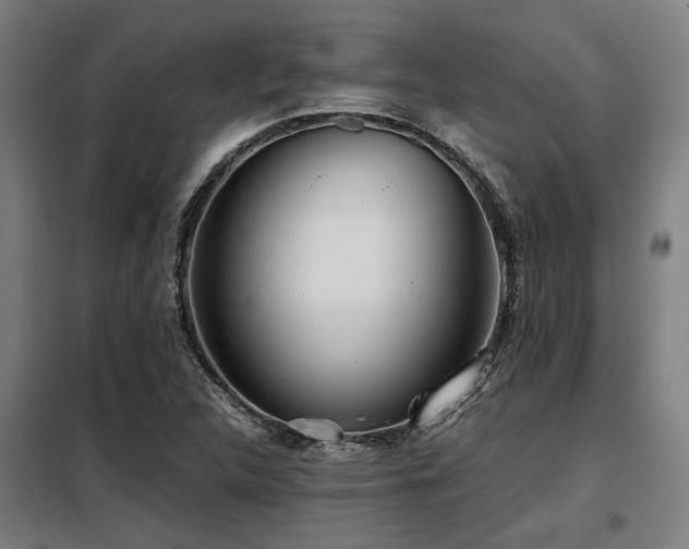 X0000098091312200804041210