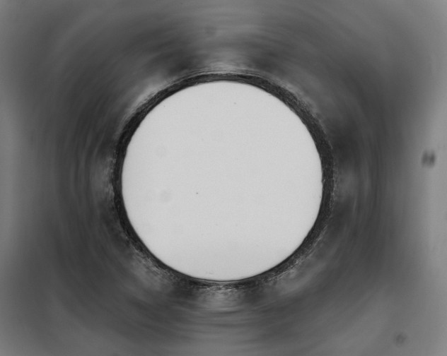 X0000098091314200804041211
