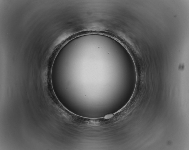 X0000098091315200804041211