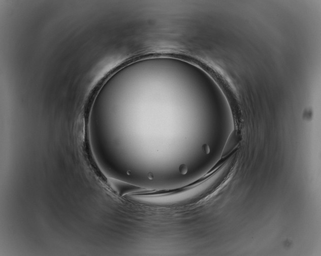 X0000098091317200804041211