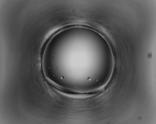 X0000098091320200804041211