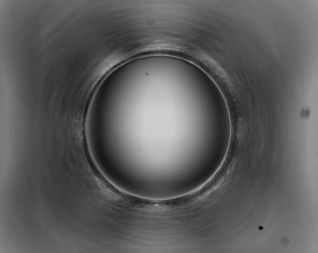 X0000098091321200804041211