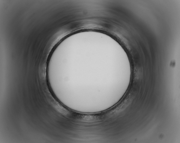 X0000098091322200804041211