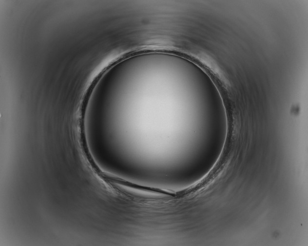 X0000098091325200804041211