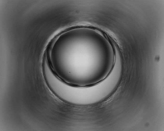 X0000098091326200804041211