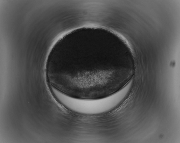 X0000098091327200804041211