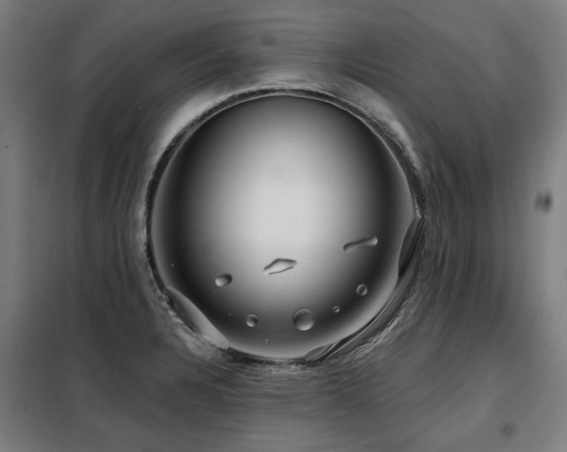 X0000098091328200804041211