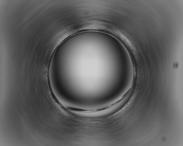 X0000098091329200804041211