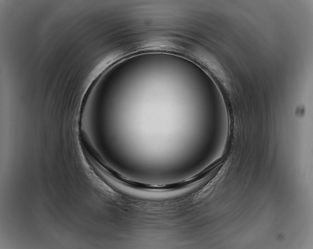 X0000098091330200804041211