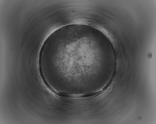X0000098091331200804041211