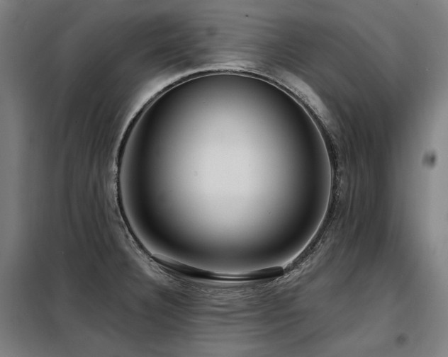 X0000098091332200804041211