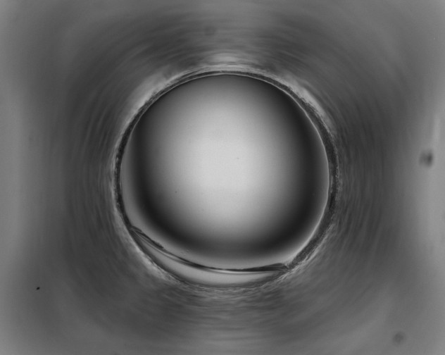X0000098091333200804041211
