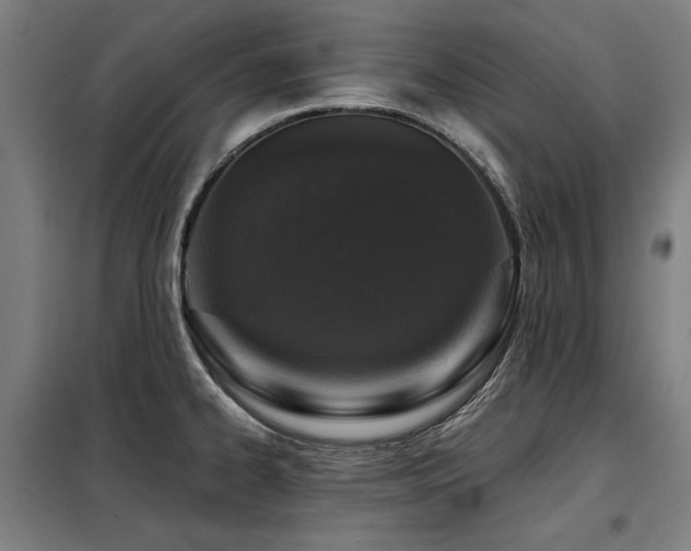 X0000098091334200804041211