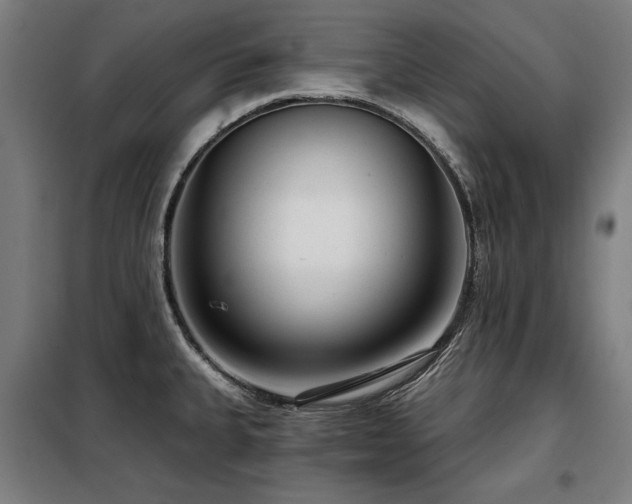 X0000098091335200804041211