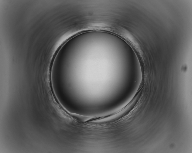 X0000098091336200804041211