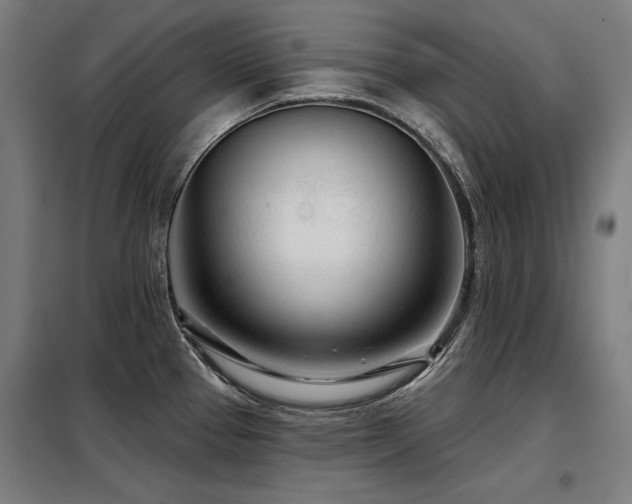 X0000098091337200804041211