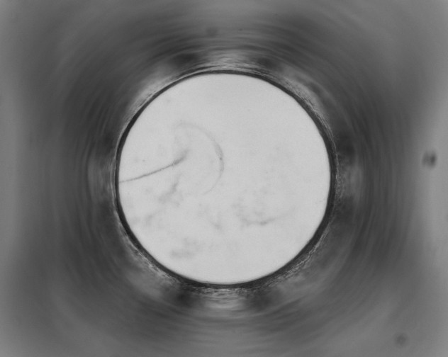 X0000098091338200804041211