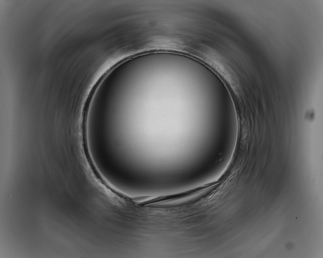 X0000098091339200804041211