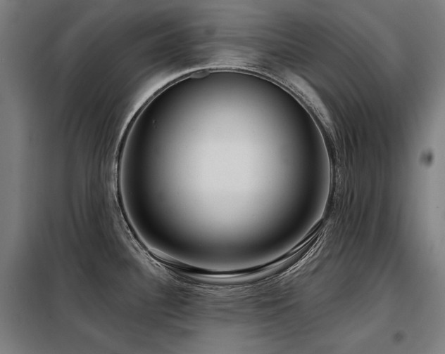 X0000098091340200804041211