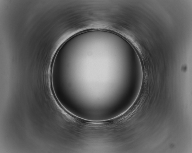X0000098091343200804041211