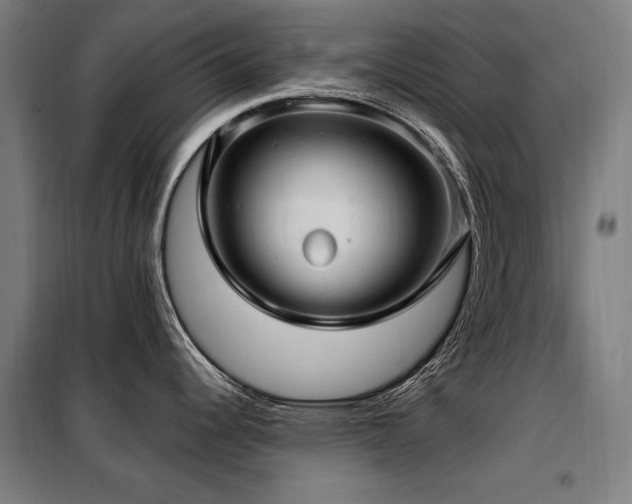 X0000098091344200804041211
