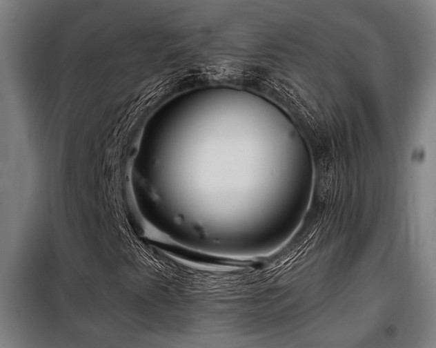 X0000098091345200804041210
