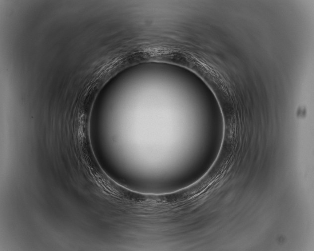 X0000098091346200804041210